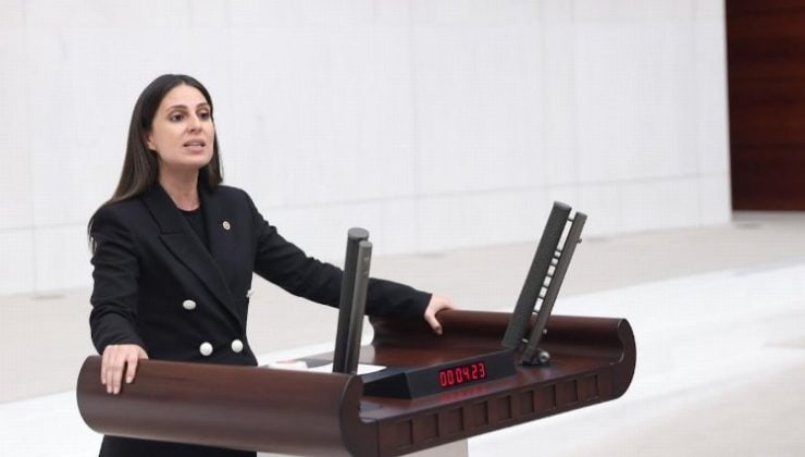 CHP’li Özcan: “Muğla, turist sayısına göre merkezi bütçeden pay almalıdır”