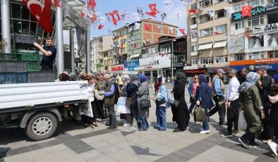 İzmit Belediyesi istiridye mantarı üretiyor, halka ücretsiz dağıtıyor