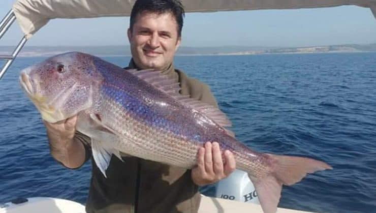 Saros’da yakalanan balık şaşkınlık yarattı