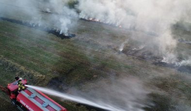 Düzce’de çıkan anız yangını korkuttu