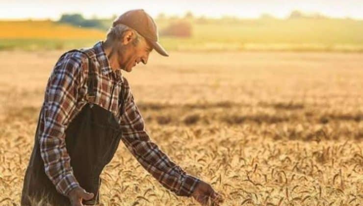 Tarımsal üretim kredilerinin esasları belirlendi